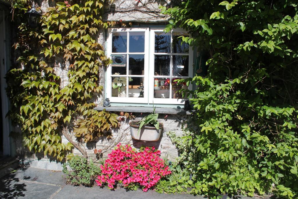 Culloden Farmhouse Camelford Exterior photo